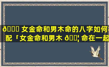 💐 女金命和男木命的八字如何相配「女金命和男木 🐦 命在一起合财吗」